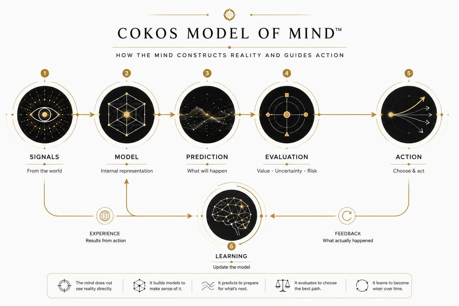 COKOS Model of Mind showing signals, internal model, prediction, evaluation, action, experience, feedback, and learning