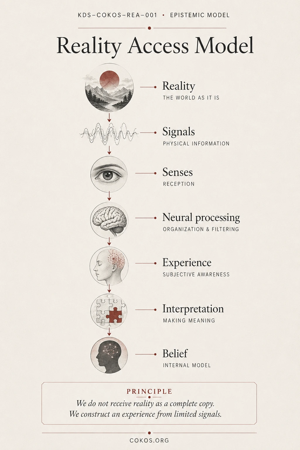 Reality Access Model showing reality becoming signals, senses, neural processing, experience, interpretation, and belief