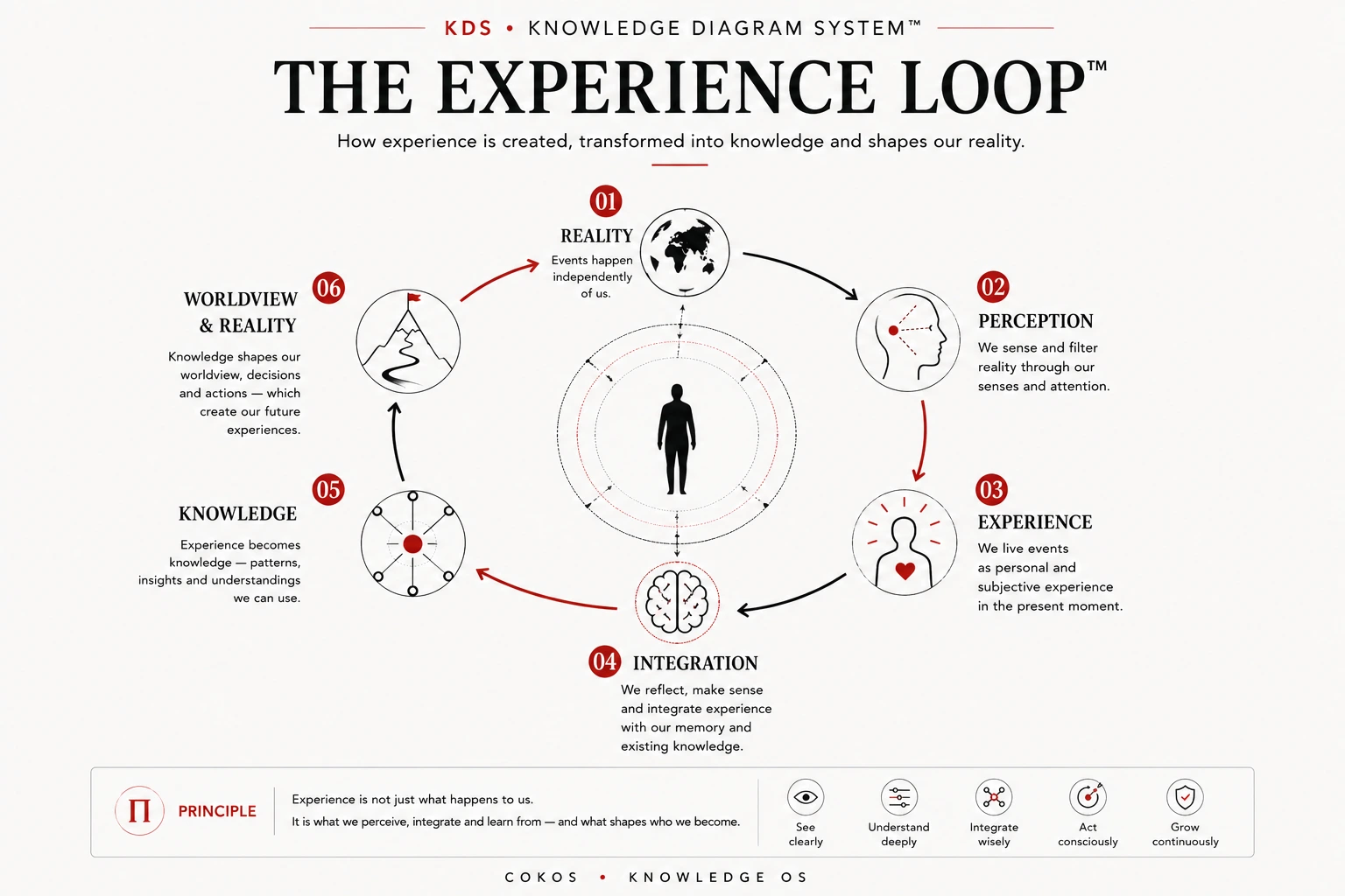 The Experience Loop: reality, perception, experience, integration, knowledge, and worldview
