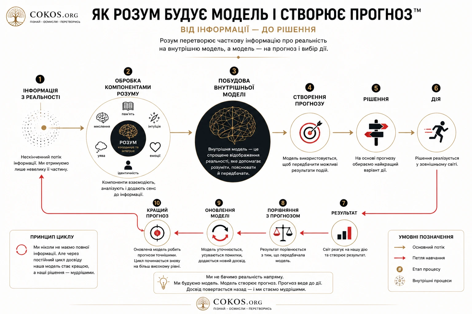 Як розум будує модель, створює прогноз, приймає рішення та навчається на результаті