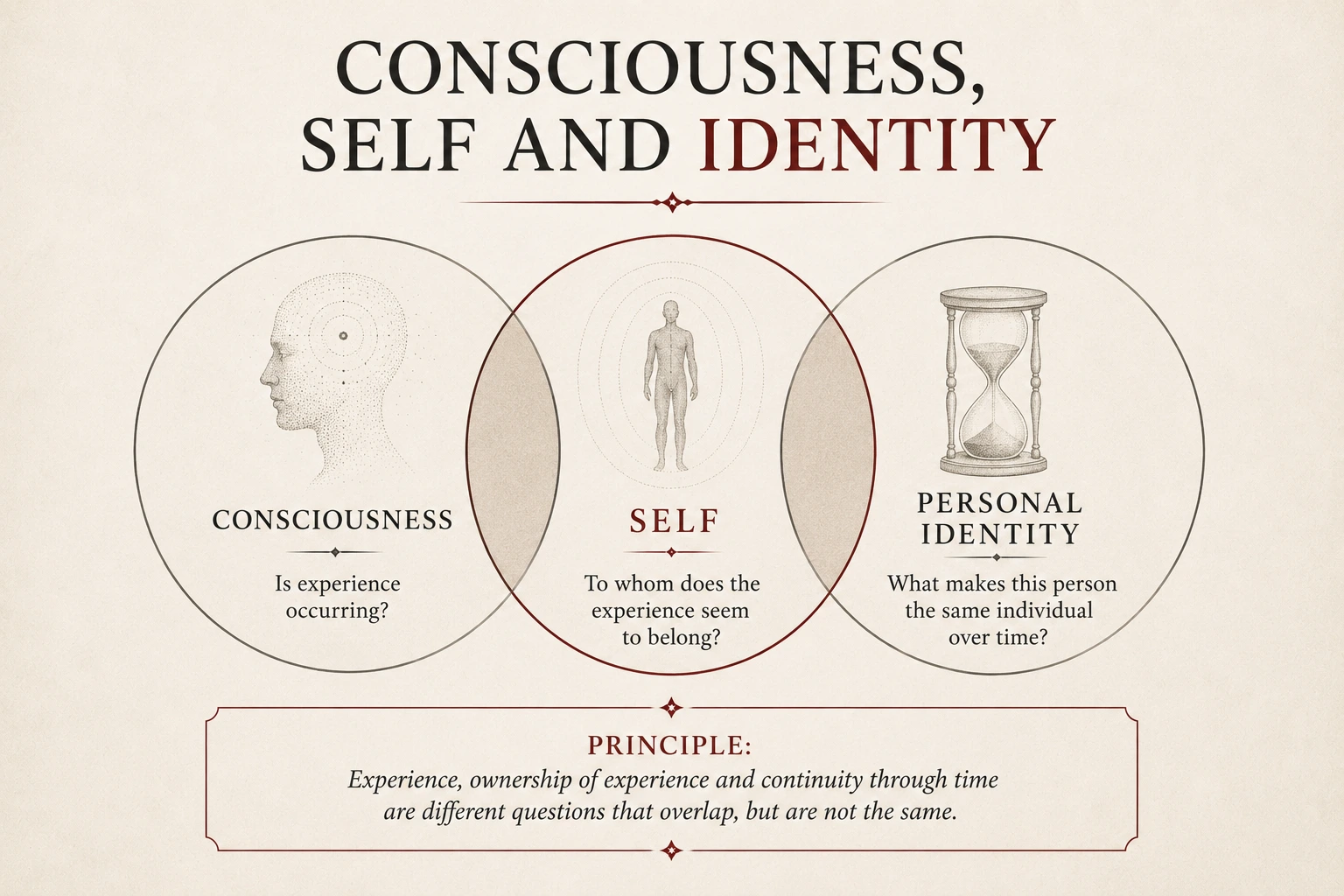 Diagram comparing consciousness, the self and personal identity as overlapping but distinct philosophical questions.
