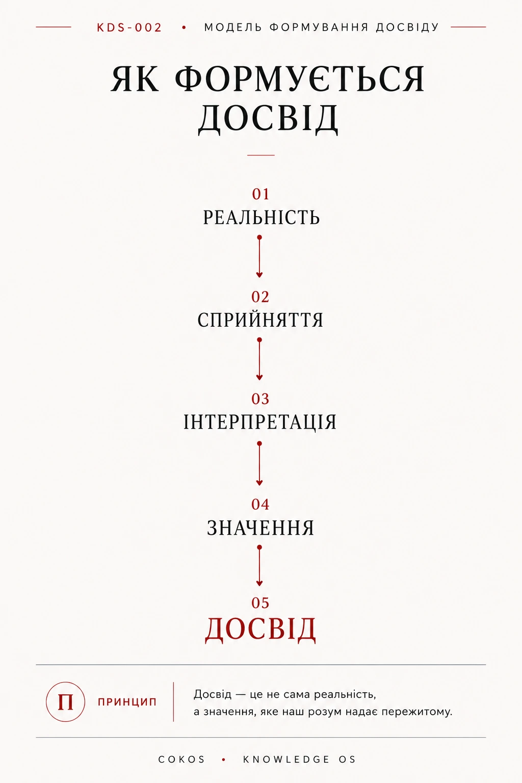 Як формується досвід: реальність, сприйняття, інтерпретація, значення і досвід