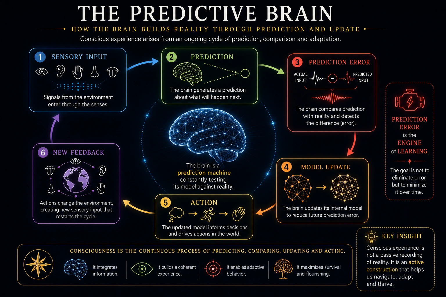 The explanatory gap between brain activity and lived experience