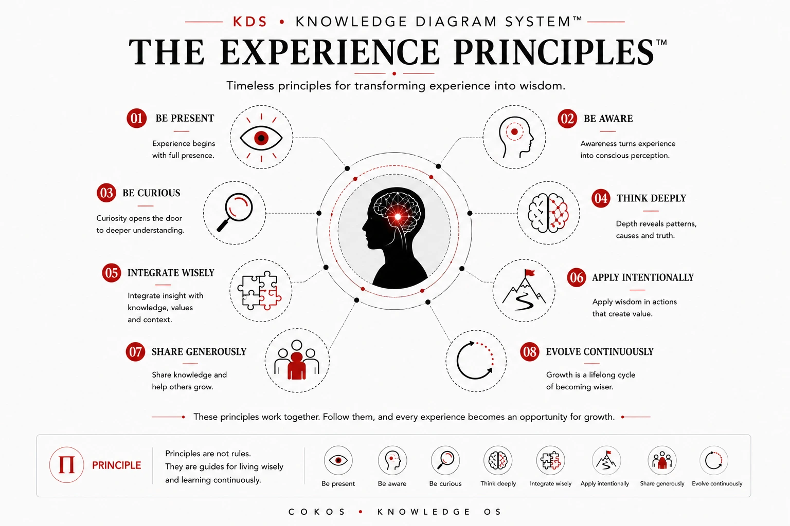 The Experience Principles: presence, awareness, curiosity, deep thinking, integration, application, sharing, and continuous growth