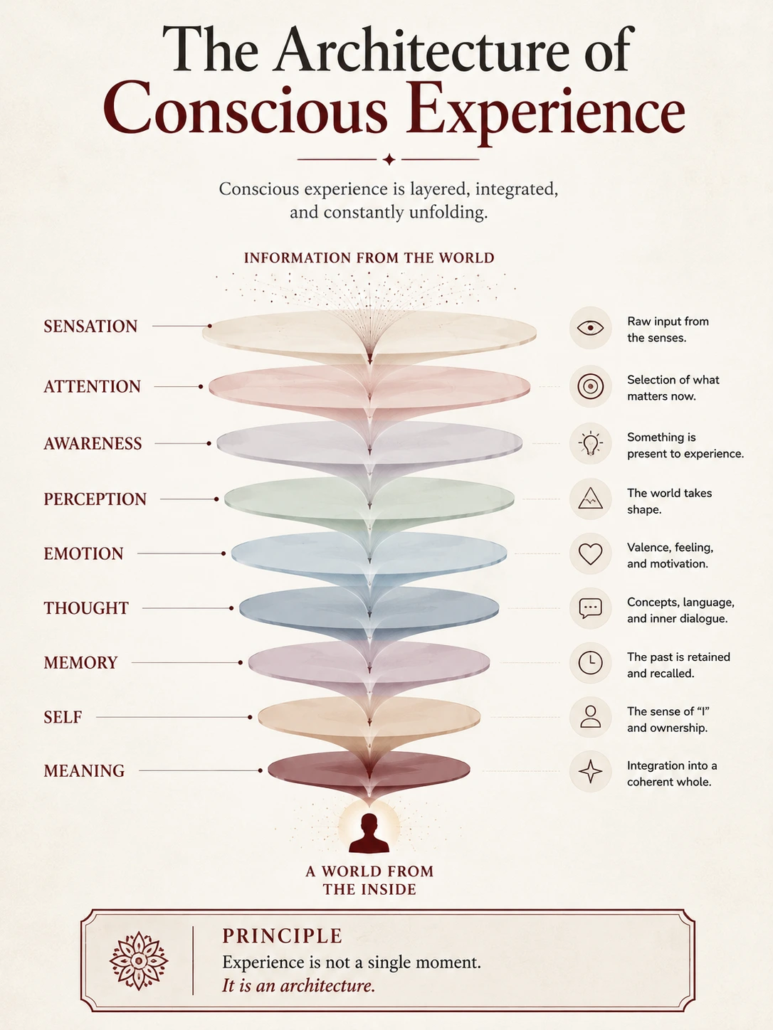 The architecture of conscious experience showing sensation, attention, awareness, perception, emotion, thought, memory, self and meaning