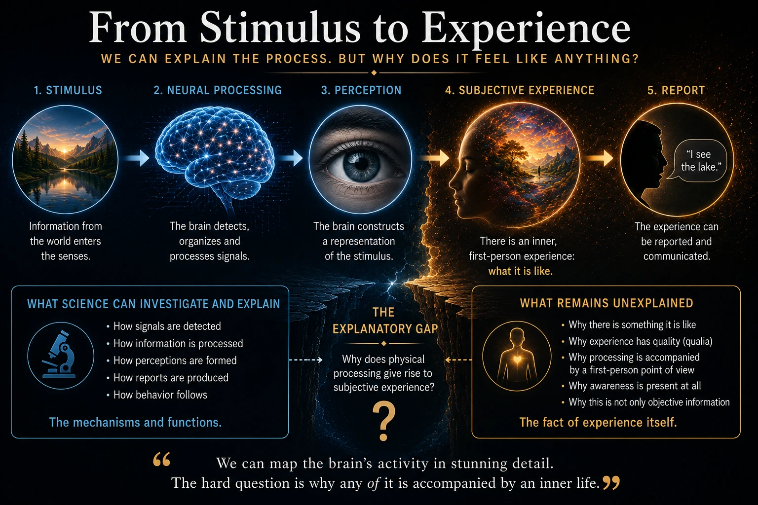 A five-stage path from stimulus and neural processing to perception, subjective experience and report.