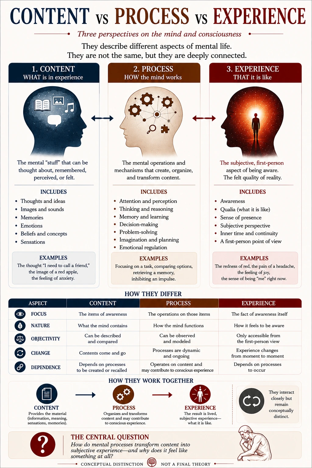 Content vs process vs experience diagram explaining three perspectives on mind and consciousness