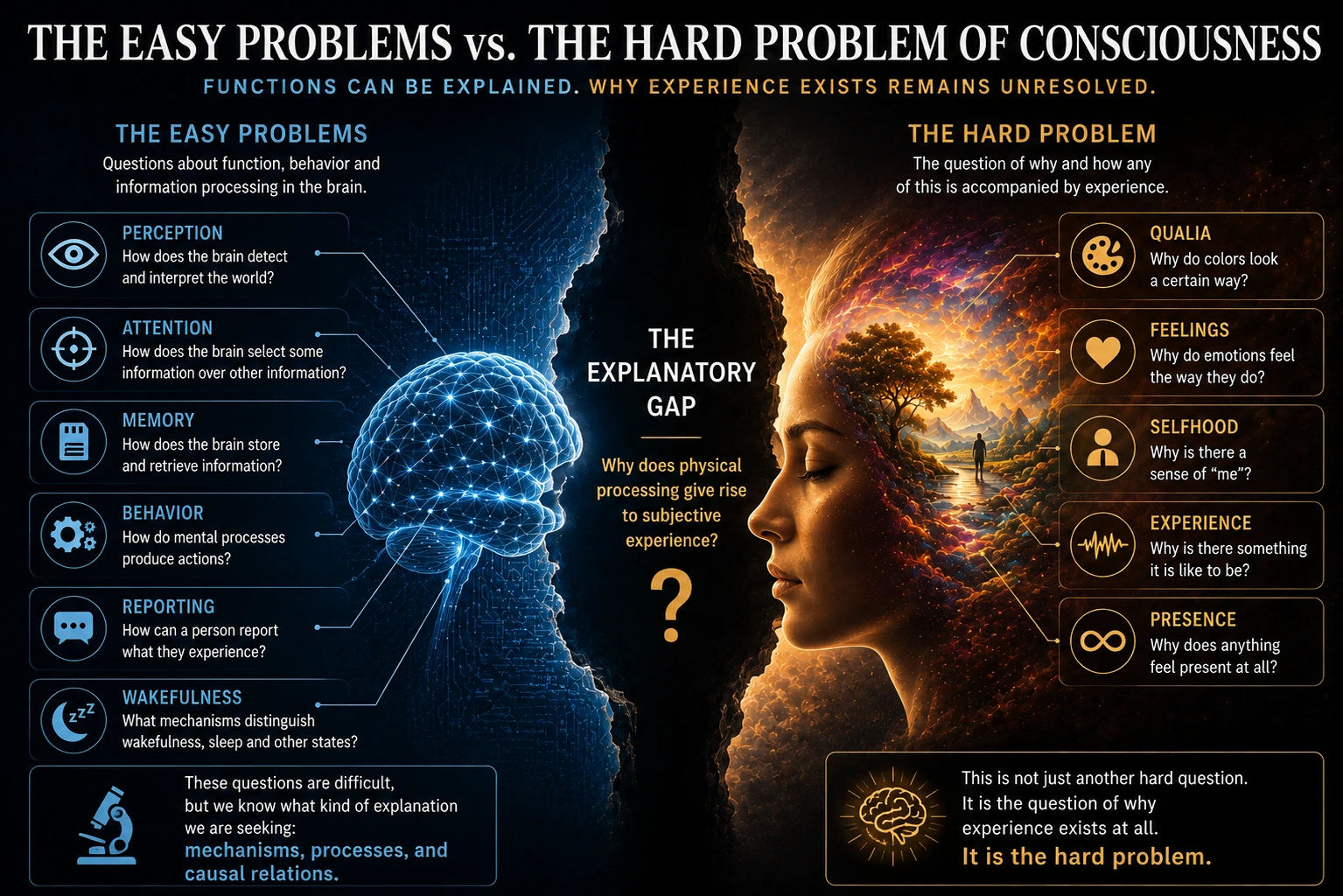 The easy problems and the hard problem of consciousness compared across brain functions and subjective experience.