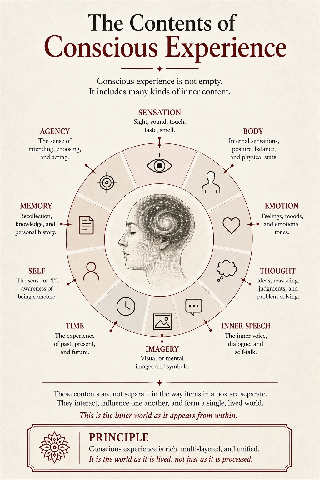 The contents of conscious experience including sensation, body, emotion, thought, inner speech, imagery, time, self, memory and agency