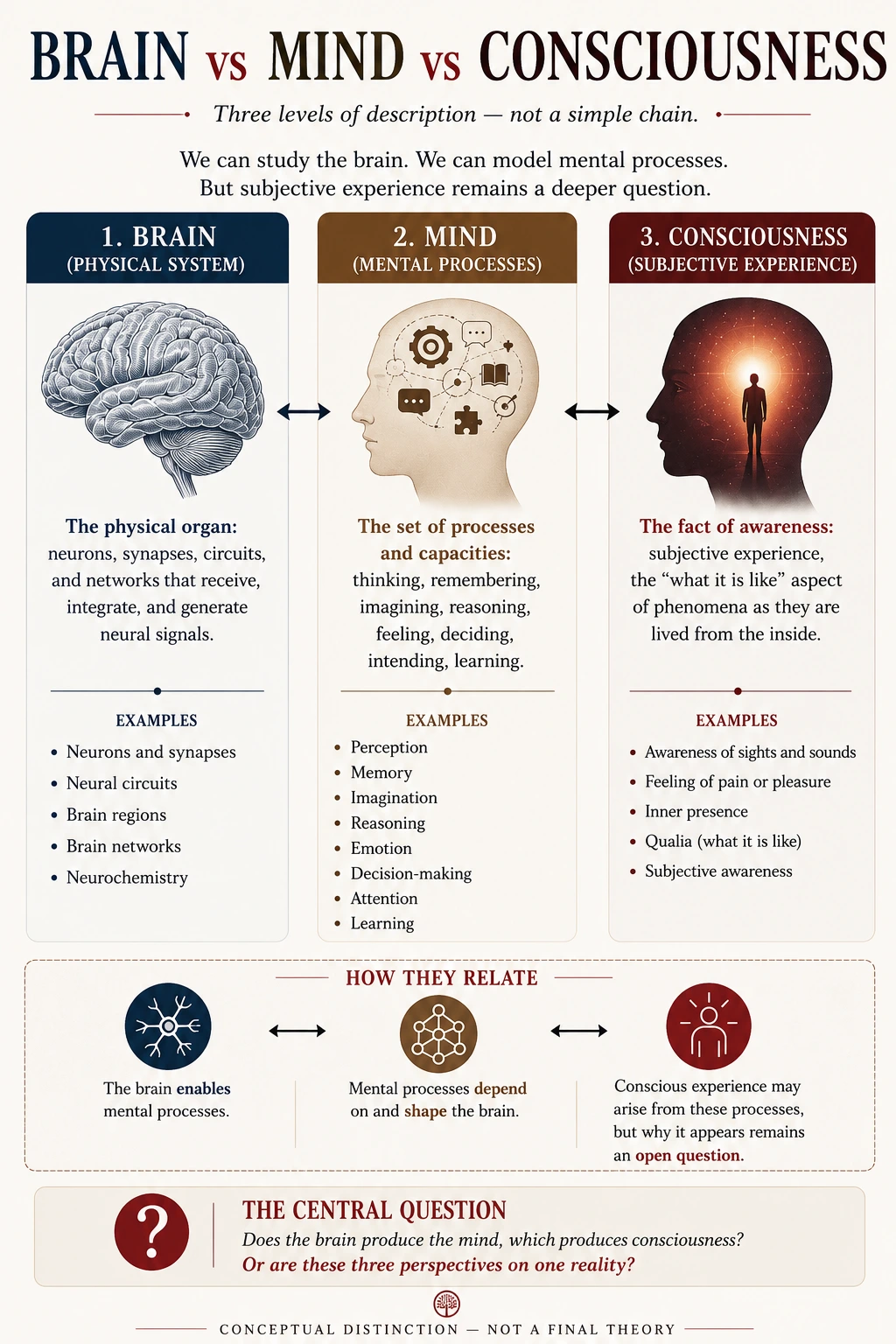 Brain vs mind vs consciousness diagram comparing physical neural systems, mental processes and subjective experience