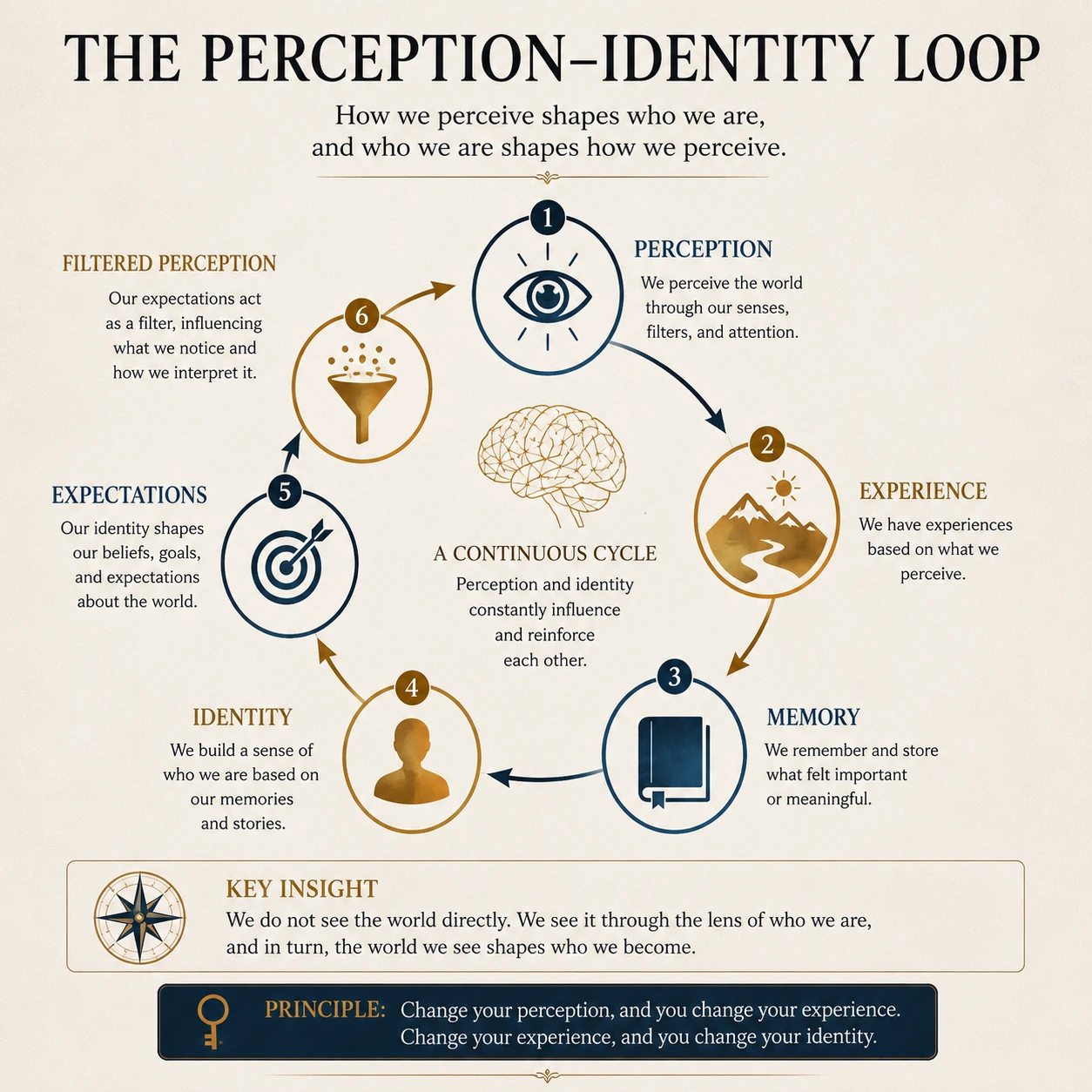 Perception identity loop showing perception, experience, memory, identity, expectations, and filtered perception