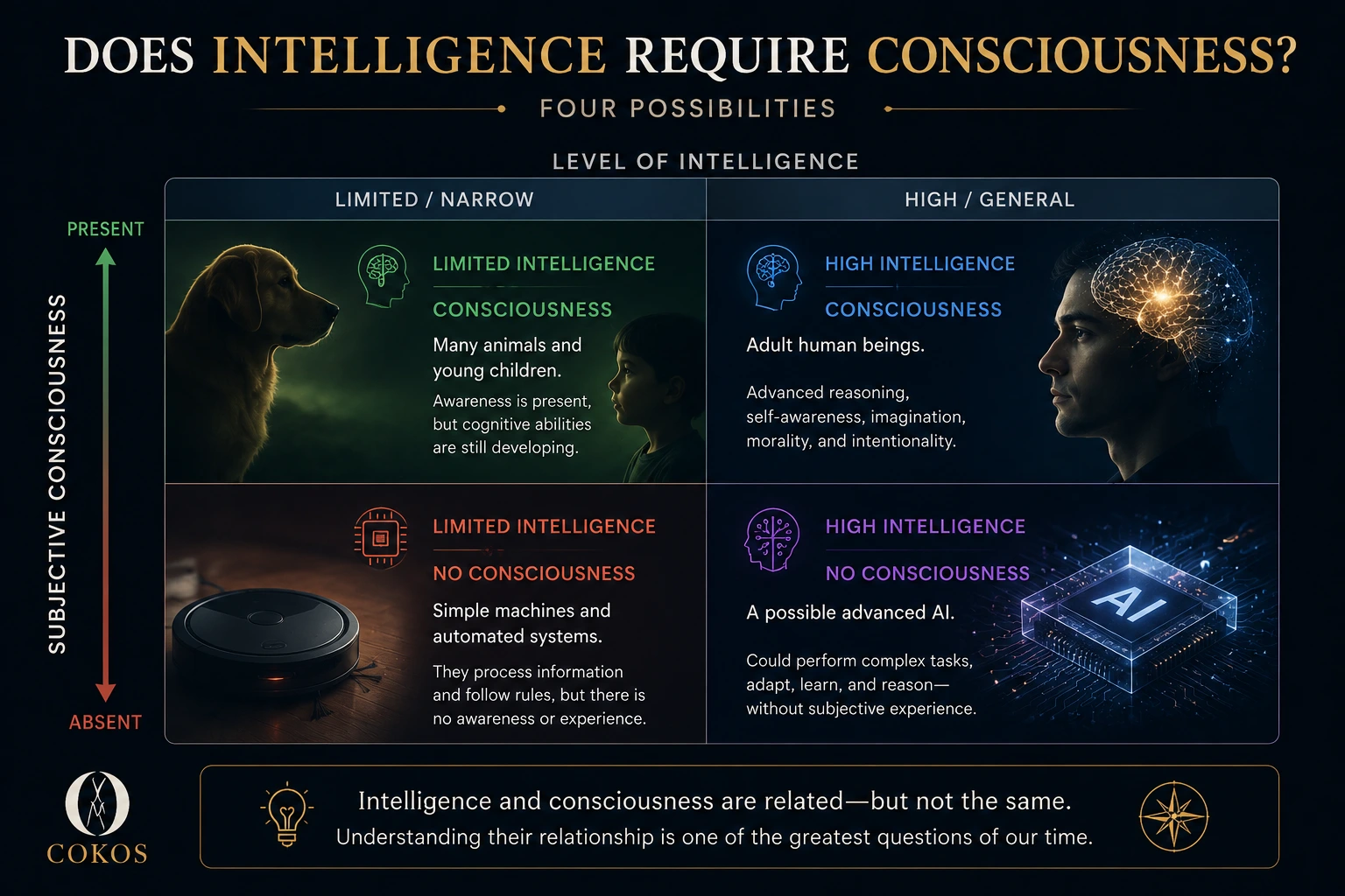 Matrix showing possible combinations of intelligence and consciousness