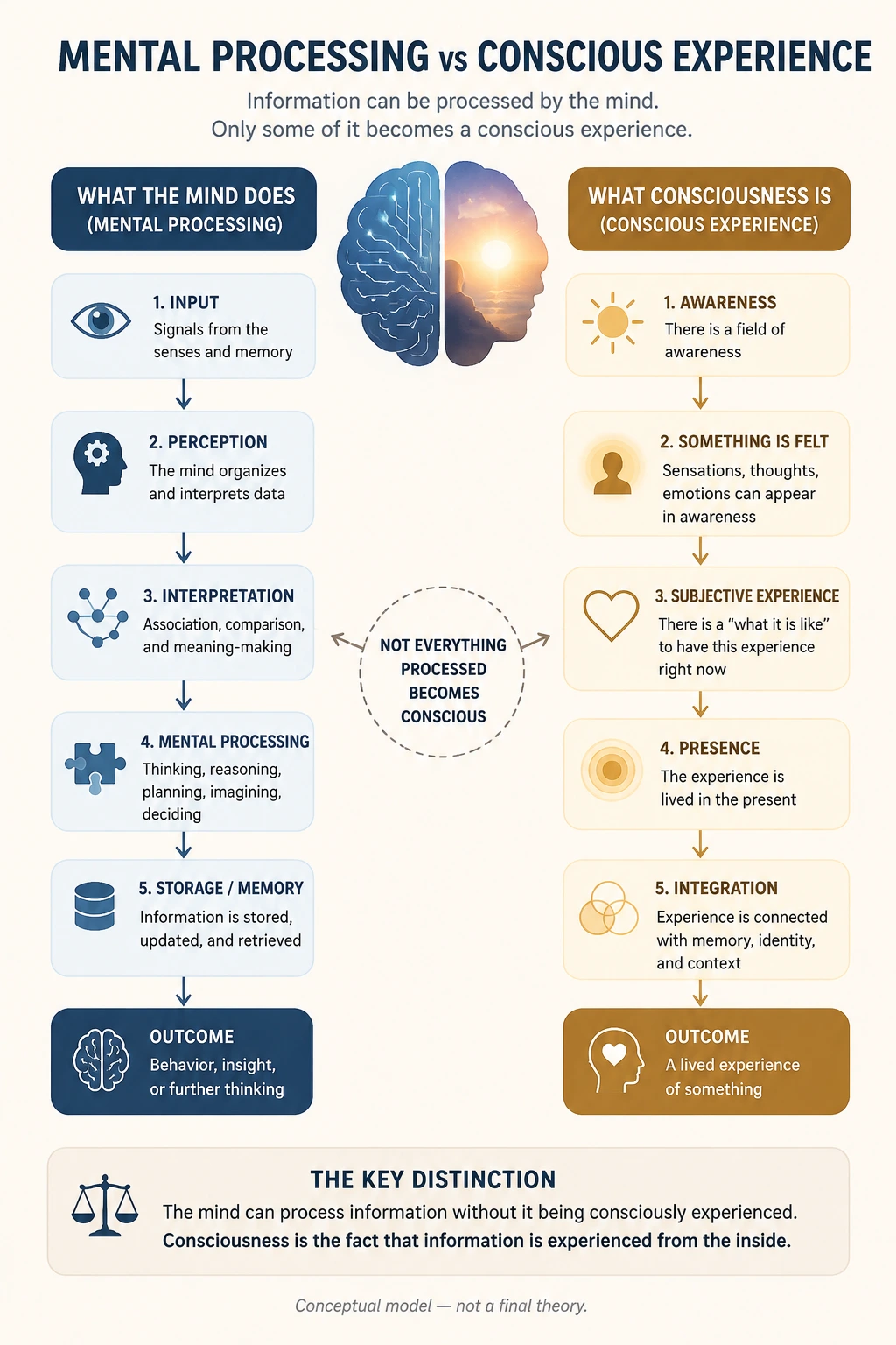 Mental processing vs conscious experience diagram showing how information processing differs from subjective awareness