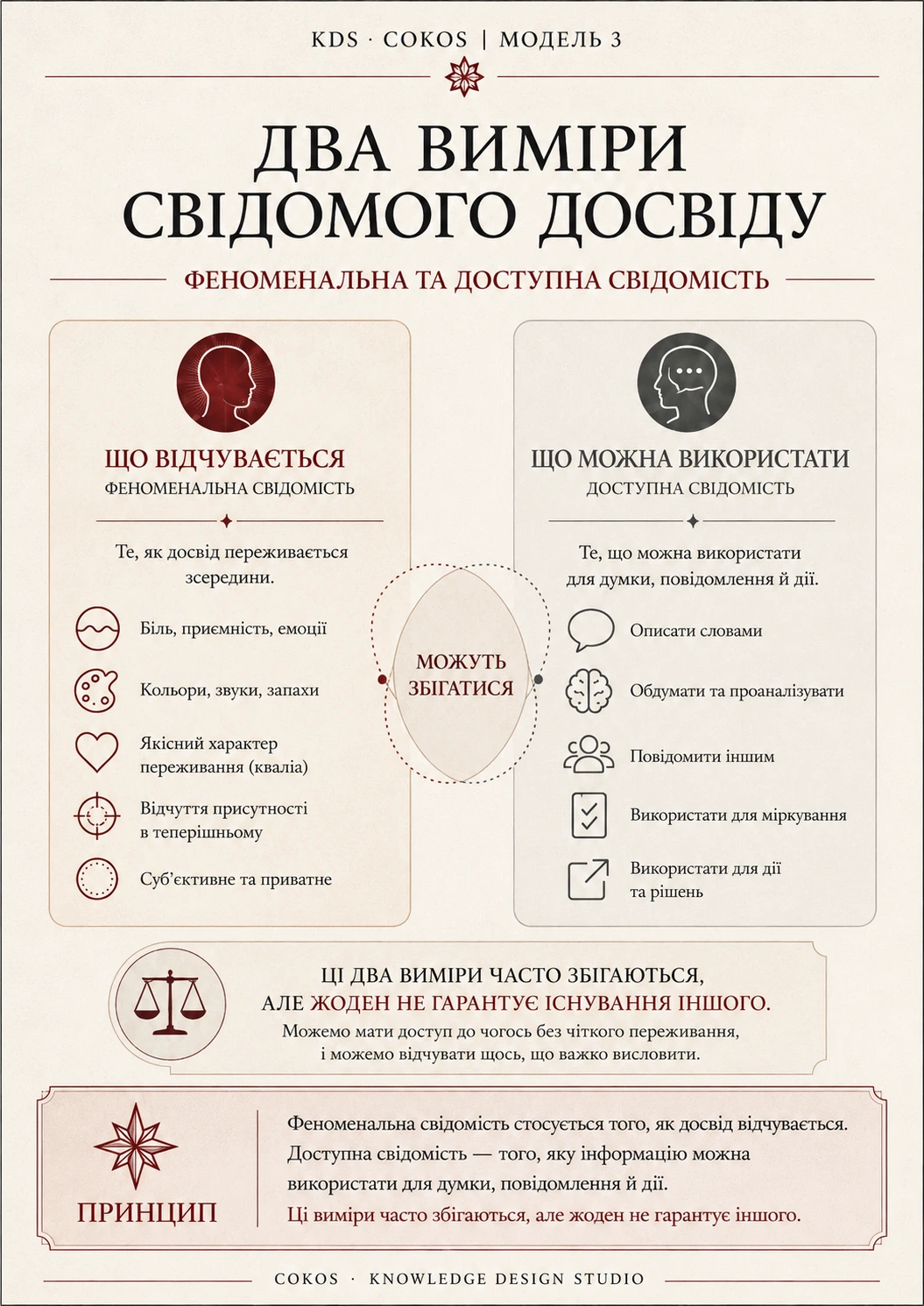 Два виміри свідомого досвіду: феноменальна свідомість показує, що відчувається, а доступна — що можна використати для думки, повідомлення й дії