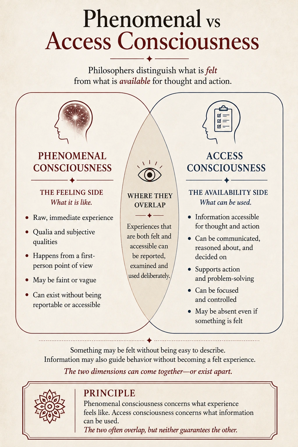 Phenomenal consciousness compared with access consciousness — what is felt and what information can be used