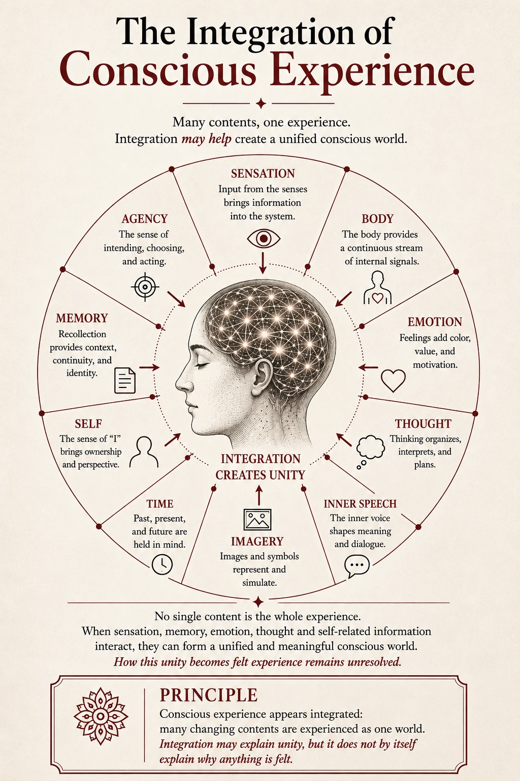 The integration of conscious experience showing sensation, body, emotion, thought, imagery, memory, self, agency and time forming a unified world