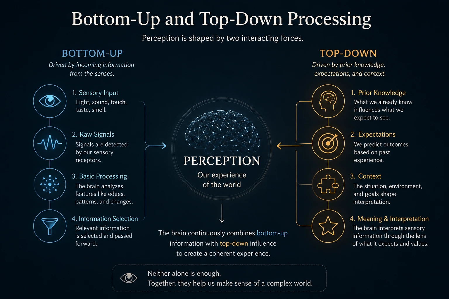 Bottom-up and top-down processing diagram showing sensory input and prior knowledge converging on perception