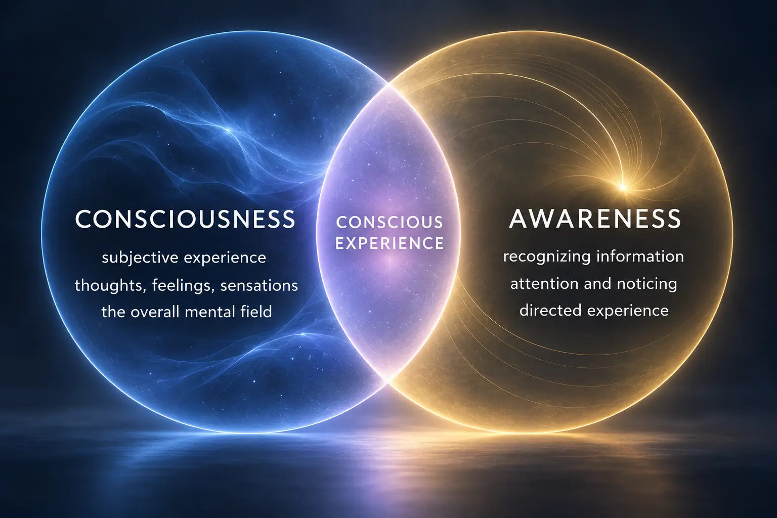 Comparison of consciousness and awareness as related but distinct mental processes